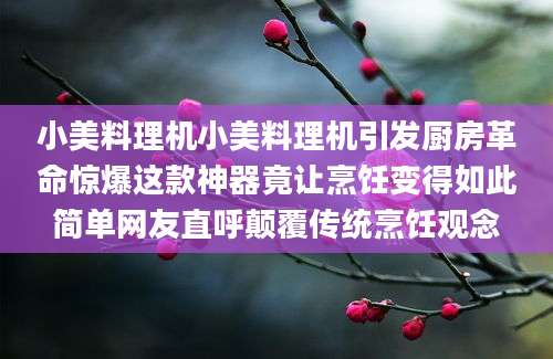 小美料理机小美料理机引发厨房革命惊爆这款神器竟让烹饪变得如此简单网友直呼颠覆传统烹饪观念