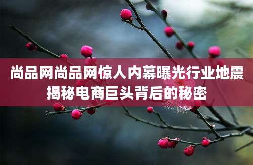 尚品网尚品网惊人内幕曝光行业地震揭秘电商巨头背后的秘密