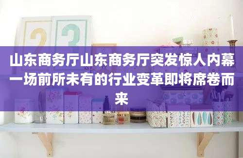 山东商务厅山东商务厅突发惊人内幕一场前所未有的行业变革即将席卷而来