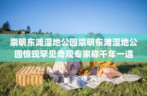 崇明东滩湿地公园崇明东滩湿地公园惊现罕见奇观专家称千年一遇