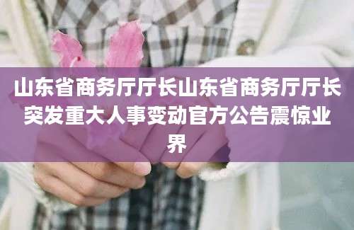 山东省商务厅厅长山东省商务厅厅长突发重大人事变动官方公告震惊业界