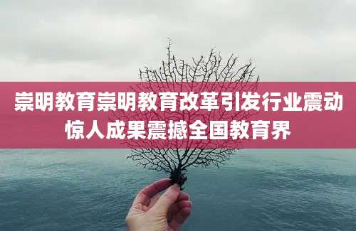 崇明教育崇明教育改革引发行业震动惊人成果震撼全国教育界