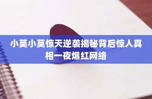 小莫小莫惊天逆袭揭秘背后惊人真相一夜爆红网络