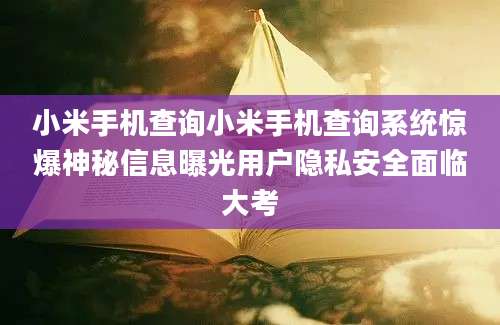小米手机查询小米手机查询系统惊爆神秘信息曝光用户隐私安全面临大考
