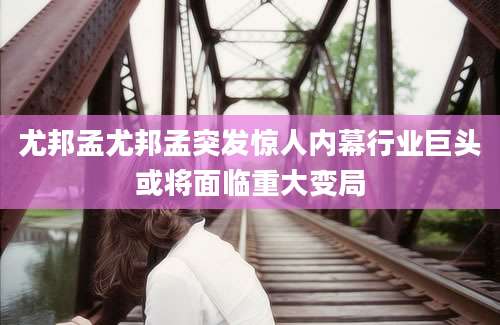 尤邦孟尤邦孟突发惊人内幕行业巨头或将面临重大变局