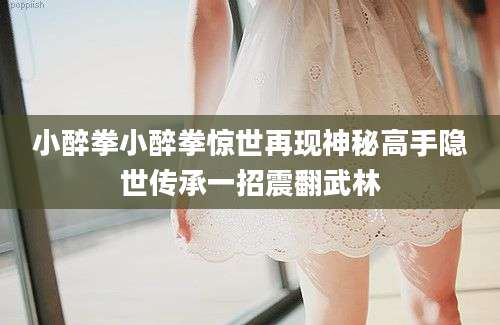 小醉拳小醉拳惊世再现神秘高手隐世传承一招震翻武林