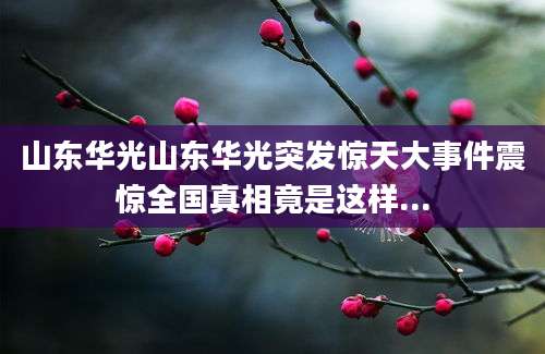 山东华光山东华光突发惊天大事件震惊全国真相竟是这样...