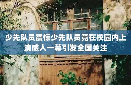 少先队员震惊少先队员竟在校园内上演感人一幕引发全国关注