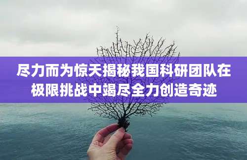 尽力而为惊天揭秘我国科研团队在极限挑战中竭尽全力创造奇迹