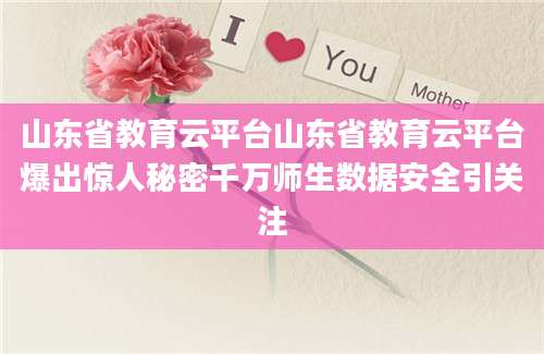 山东省教育云平台山东省教育云平台爆出惊人秘密千万师生数据安全引关注