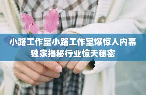 小路工作室小路工作室爆惊人内幕独家揭秘行业惊天秘密
