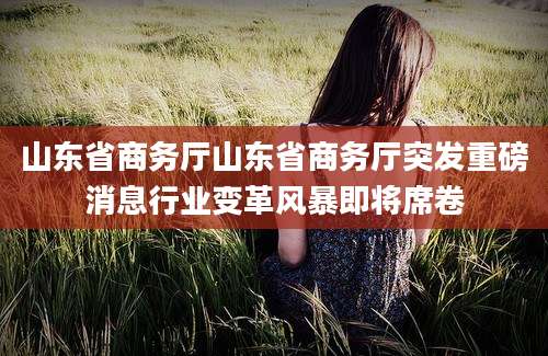 山东省商务厅山东省商务厅突发重磅消息行业变革风暴即将席卷
