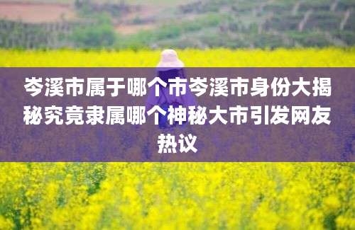 岑溪市属于哪个市岑溪市身份大揭秘究竟隶属哪个神秘大市引发网友热议
