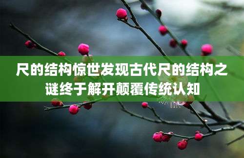 尺的结构惊世发现古代尺的结构之谜终于解开颠覆传统认知