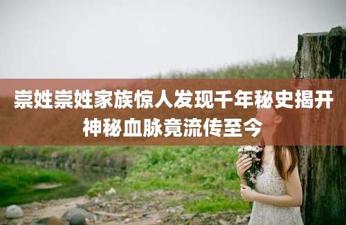 崇姓崇姓家族惊人发现千年秘史揭开神秘血脉竟流传至今