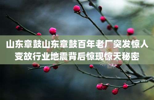 山东章鼓山东章鼓百年老厂突发惊人变故行业地震背后惊现惊天秘密