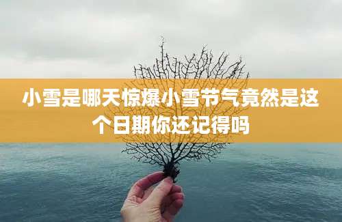 小雪是哪天惊爆小雪节气竟然是这个日期你还记得吗