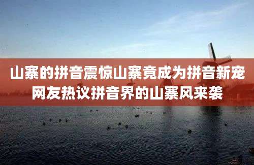 山寨的拼音震惊山寨竟成为拼音新宠网友热议拼音界的山寨风来袭