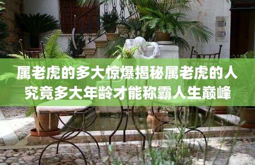 属老虎的多大惊爆揭秘属老虎的人究竟多大年龄才能称霸人生巅峰