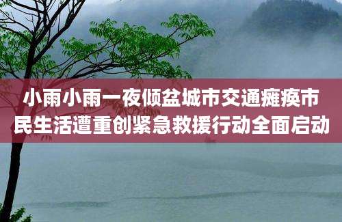 小雨小雨一夜倾盆城市交通瘫痪市民生活遭重创紧急救援行动全面启动