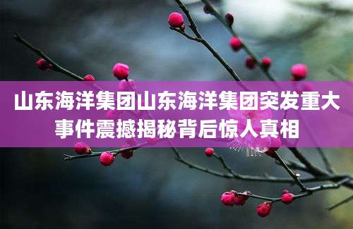 山东海洋集团山东海洋集团突发重大事件震撼揭秘背后惊人真相