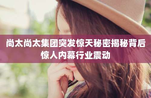 尚太尚太集团突发惊天秘密揭秘背后惊人内幕行业震动