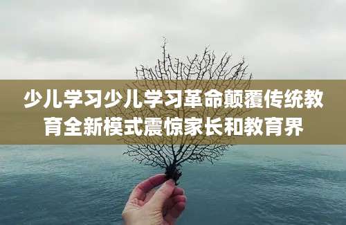少儿学习少儿学习革命颠覆传统教育全新模式震惊家长和教育界