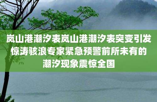 岚山港潮汐表岚山港潮汐表突变引发惊涛骇浪专家紧急预警前所未有的潮汐现象震惊全国