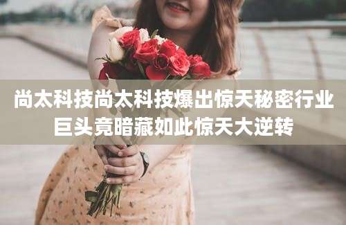 尚太科技尚太科技爆出惊天秘密行业巨头竟暗藏如此惊天大逆转