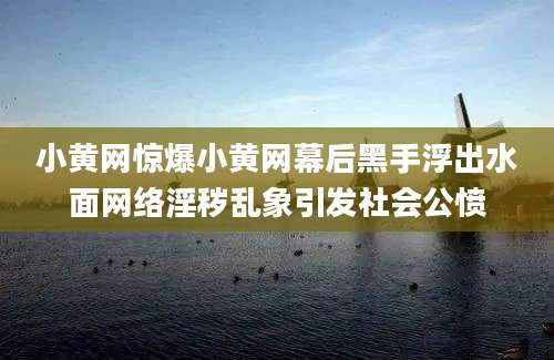 小黄网惊爆小黄网幕后黑手浮出水面网络淫秽乱象引发社会公愤