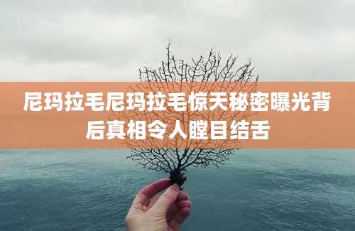 尼玛拉毛尼玛拉毛惊天秘密曝光背后真相令人瞠目结舌