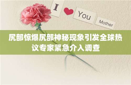 尻部惊爆尻部神秘现象引发全球热议专家紧急介入调查
