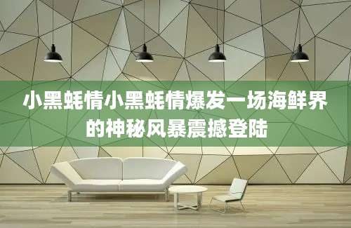 小黑蚝情小黑蚝情爆发一场海鲜界的神秘风暴震撼登陆