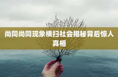 尚同尚同现象横扫社会揭秘背后惊人真相