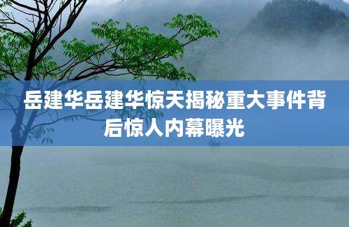 岳建华岳建华惊天揭秘重大事件背后惊人内幕曝光