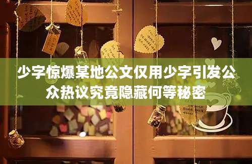 少字惊爆某地公文仅用少字引发公众热议究竟隐藏何等秘密