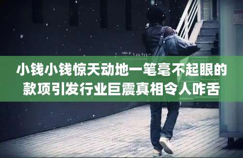 小钱小钱惊天动地一笔毫不起眼的款项引发行业巨震真相令人咋舌