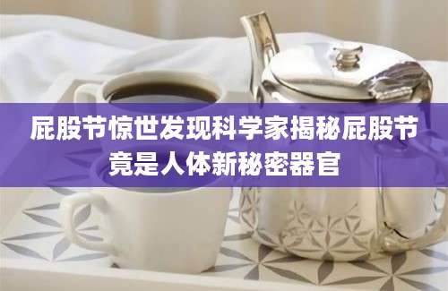 屁股节惊世发现科学家揭秘屁股节竟是人体新秘密器官