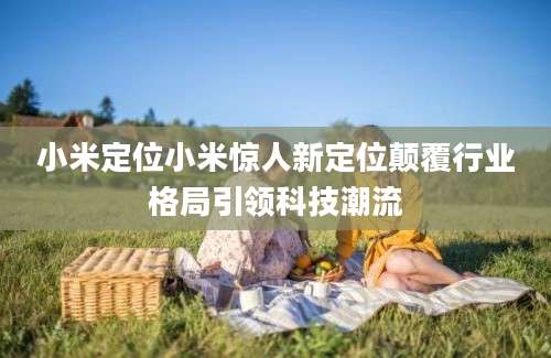 小米定位小米惊人新定位颠覆行业格局引领科技潮流