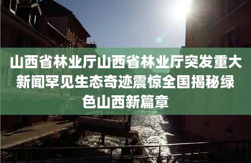 山西省林业厅山西省林业厅突发重大新闻罕见生态奇迹震惊全国揭秘绿色山西新篇章