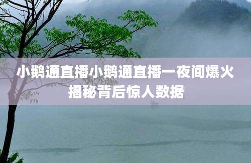 小鹅通直播小鹅通直播一夜间爆火揭秘背后惊人数据