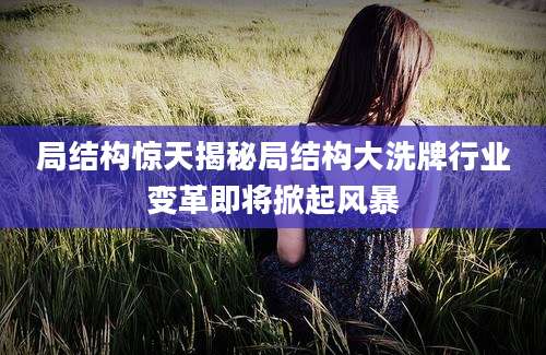 局结构惊天揭秘局结构大洗牌行业变革即将掀起风暴