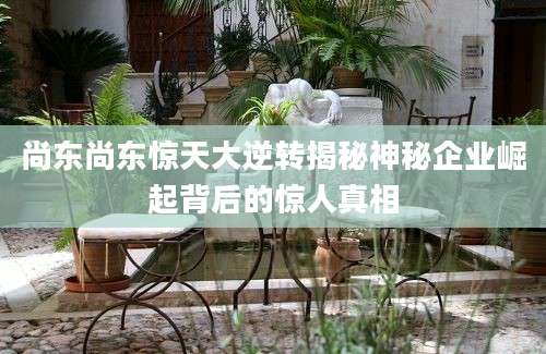 尚东尚东惊天大逆转揭秘神秘企业崛起背后的惊人真相