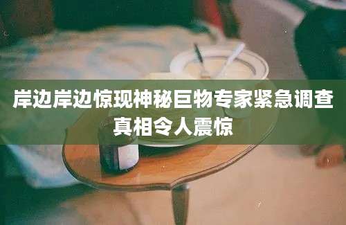岸边岸边惊现神秘巨物专家紧急调查真相令人震惊