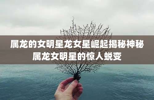 属龙的女明星龙女星崛起揭秘神秘属龙女明星的惊人蜕变