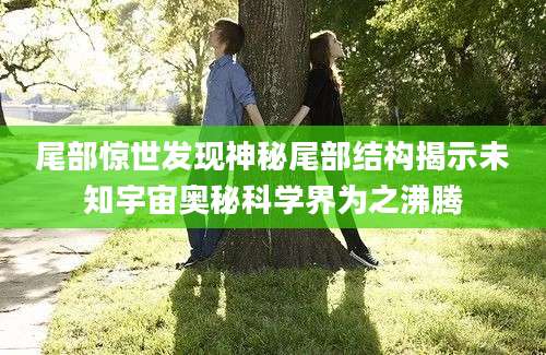 尾部惊世发现神秘尾部结构揭示未知宇宙奥秘科学界为之沸腾
