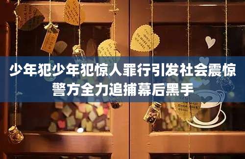少年犯少年犯惊人罪行引发社会震惊警方全力追捕幕后黑手