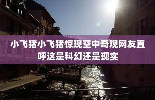 小飞猪小飞猪惊现空中奇观网友直呼这是科幻还是现实