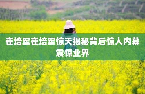 崔培军崔培军惊天揭秘背后惊人内幕震惊业界