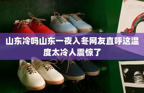 山东冷吗山东一夜入冬网友直呼这温度太冷人震惊了